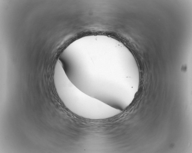 X0000093391157200711011305