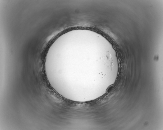 X0000093391160200711011305