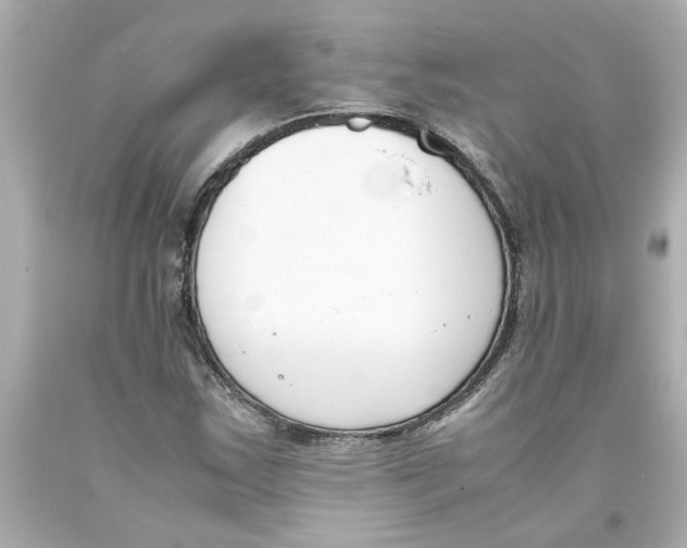 X0000093391163200711011304