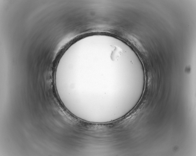 X0000093391164200711011304