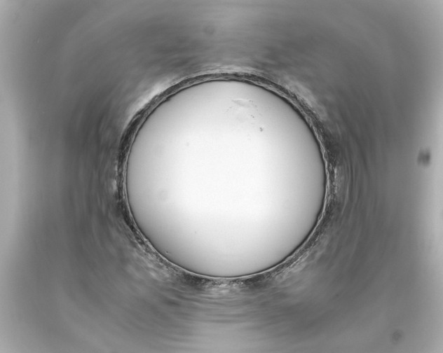 X0000093391165200711011304