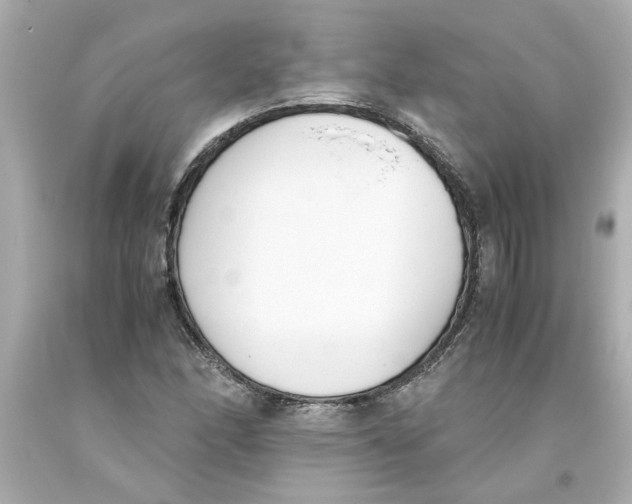 X0000093391166200711011304