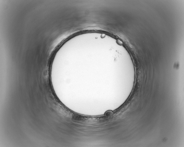 X0000093391167200711011304