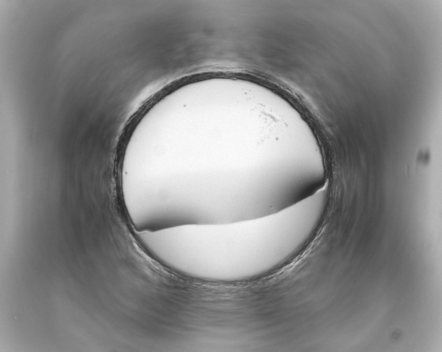 X0000093391168200711011304