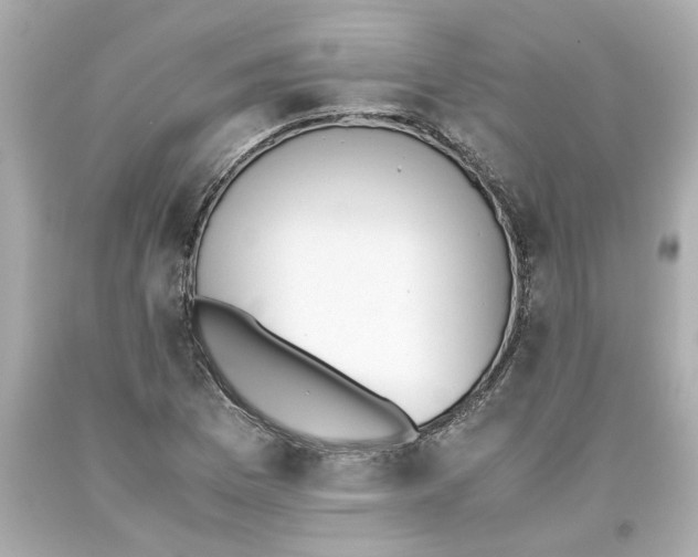 X0000093391169200711011304