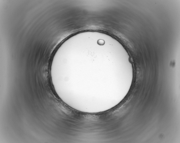 X0000093391170200711011304