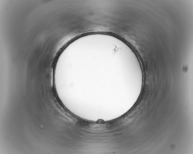 X0000093391171200711011304