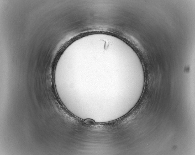 X0000093391172200711011304