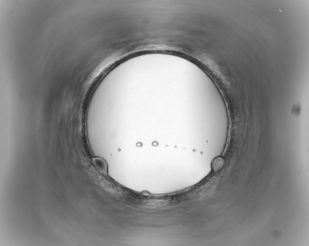 X0000093391173200711011304