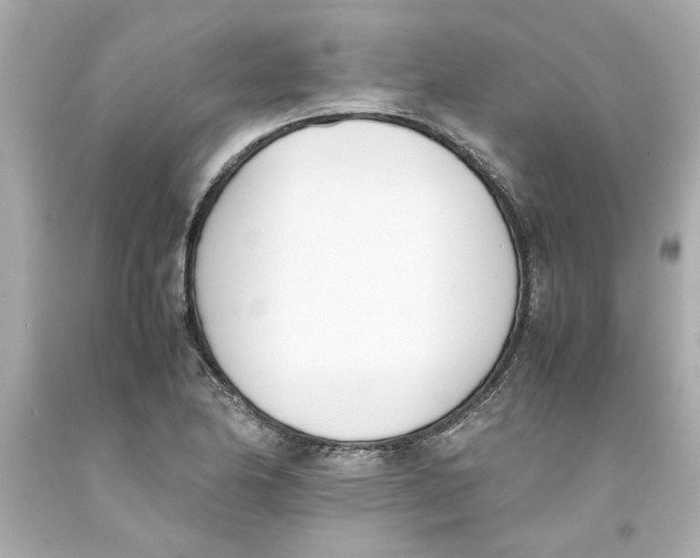 X0000093391174200711011304