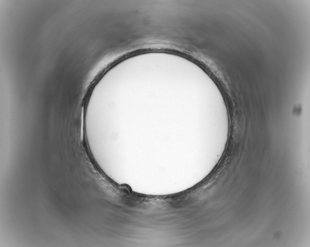 X0000093391175200711011304