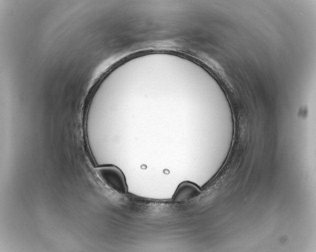 X0000093391176200711011304