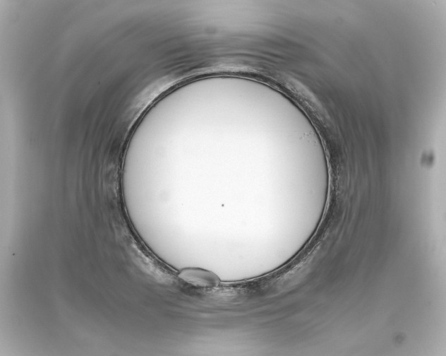 X0000093391177200711011304