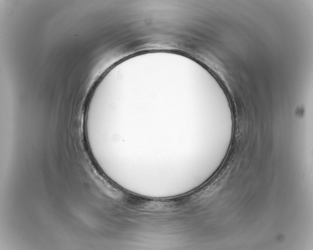 X0000093391179200711011304