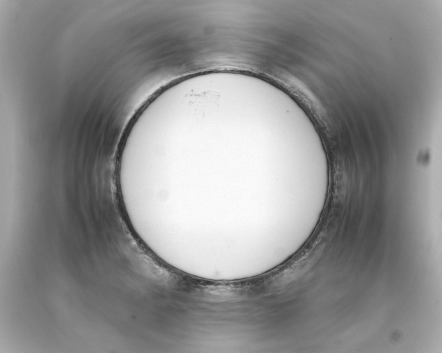 X0000093391182200711011304