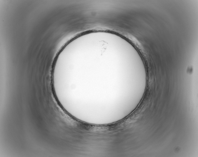 X0000093391183200711011304