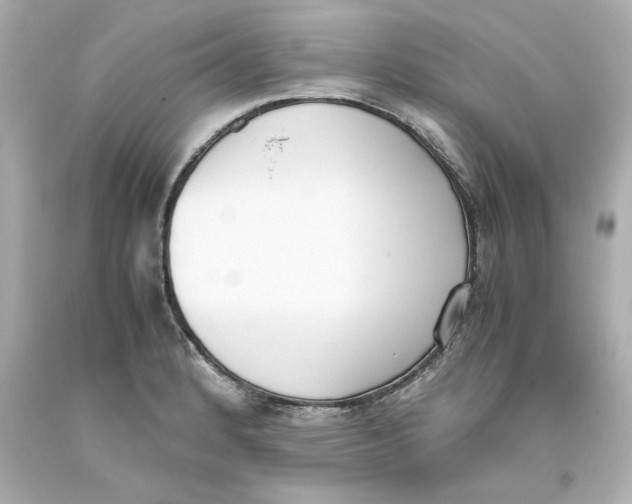 X0000093391184200711011304