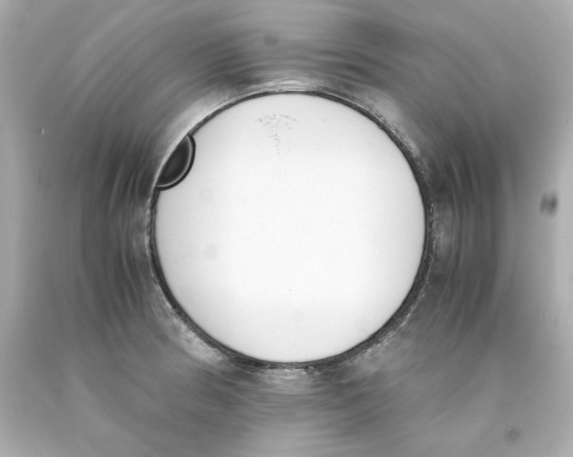 X0000093391186200711011304