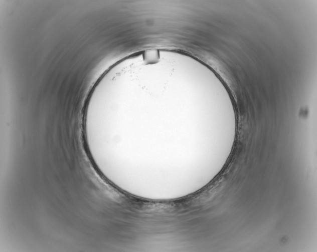 X0000093391187200711011304