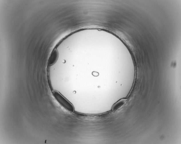 X0000093391189200711011304