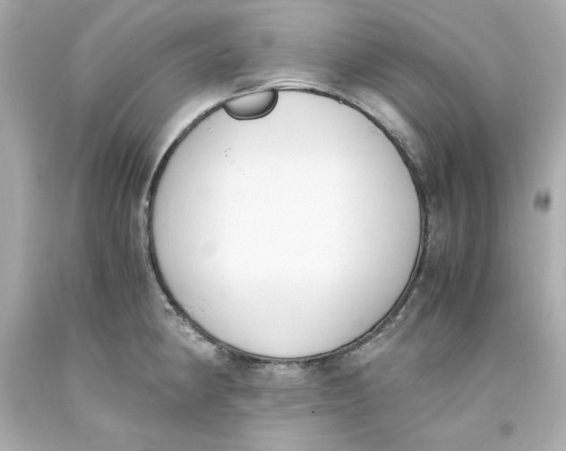 X0000093391190200711011304