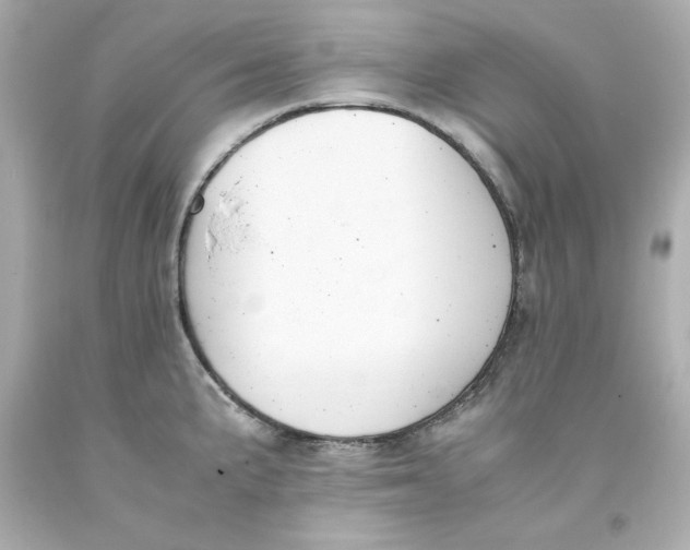 X0000093391191200711011304