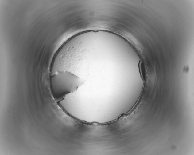 X0000093391192200711011304