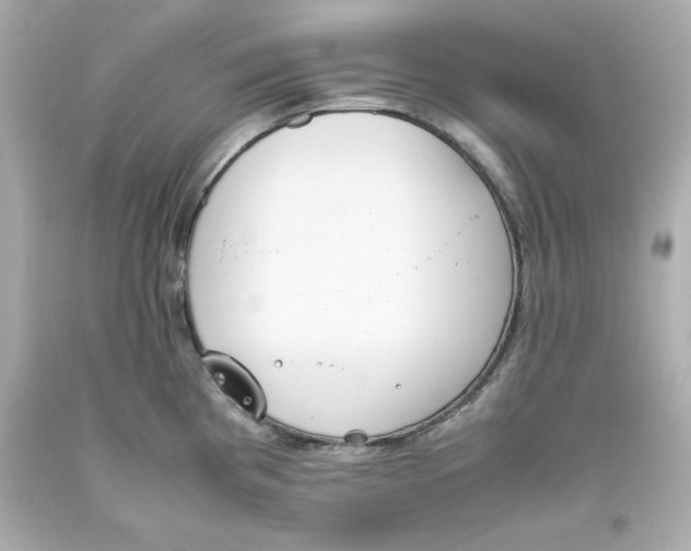 X0000093391193200711011304