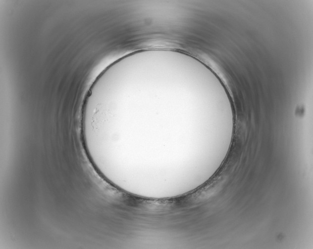 X0000093391195200711011304