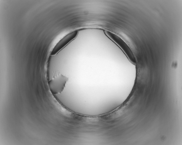 X0000093391196200711011304