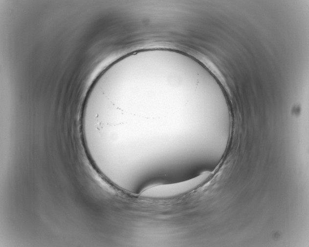 X0000093391197200711011304