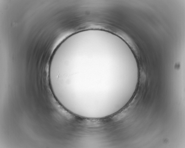 X0000093391198200711011304