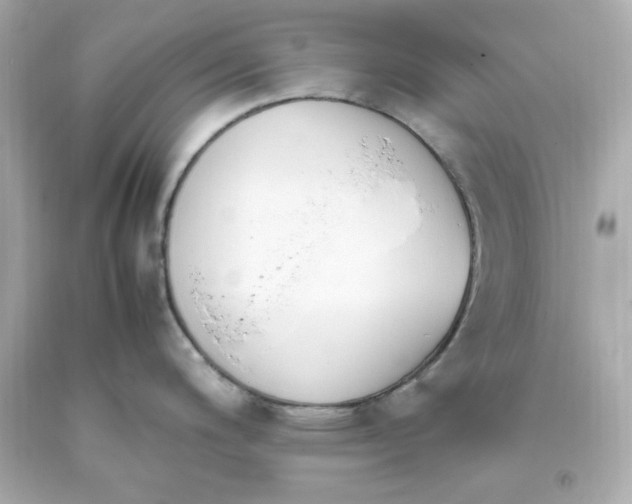 X0000093391200200711011304