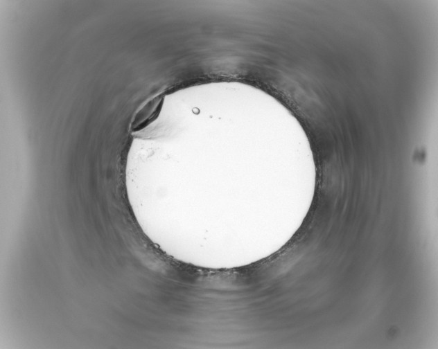 X0000093391201200711011303