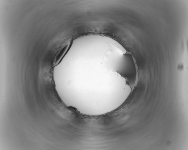 X0000093391202200711011303