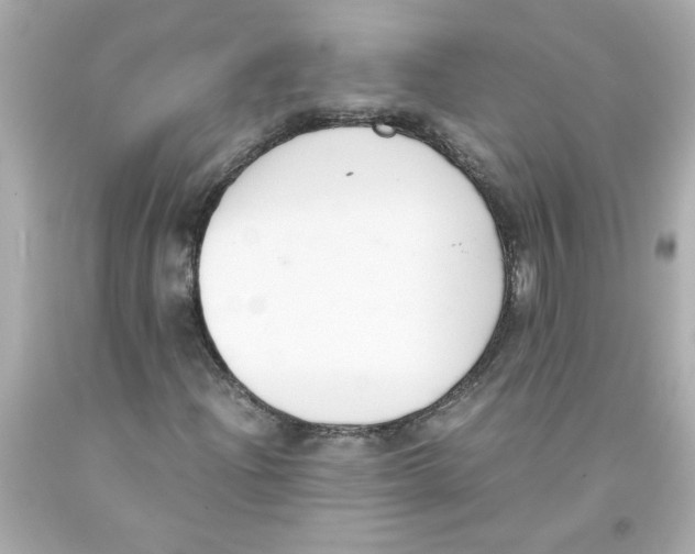 X0000093391204200711011303