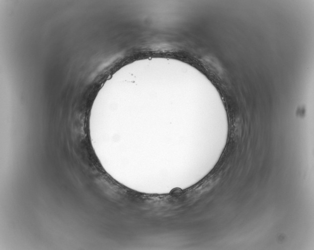 X0000093391205200711011303