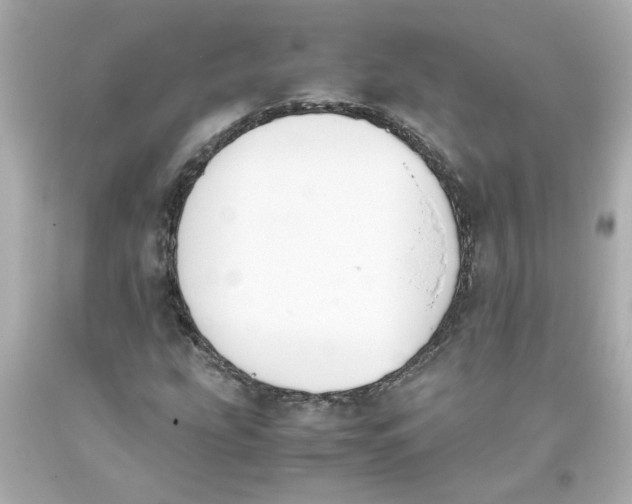 X0000093391207200711011303