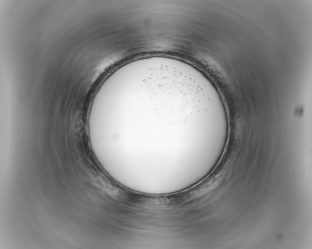 X0000093391210200711011303