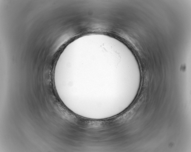 X0000093391211200711011303