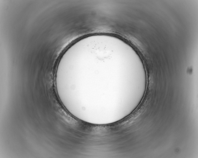 X0000093391212200711011303