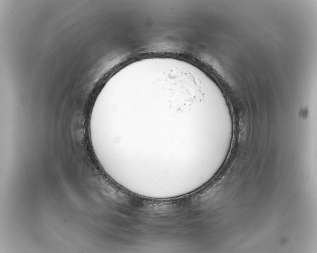 X0000093391213200711011303