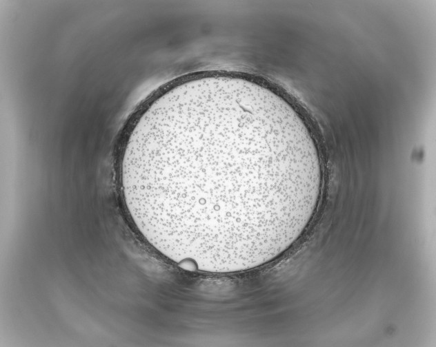 X0000093391215200711011303