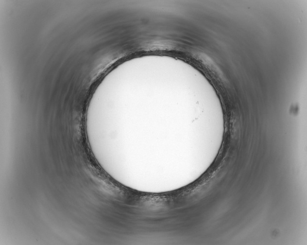 X0000093391217200711011303