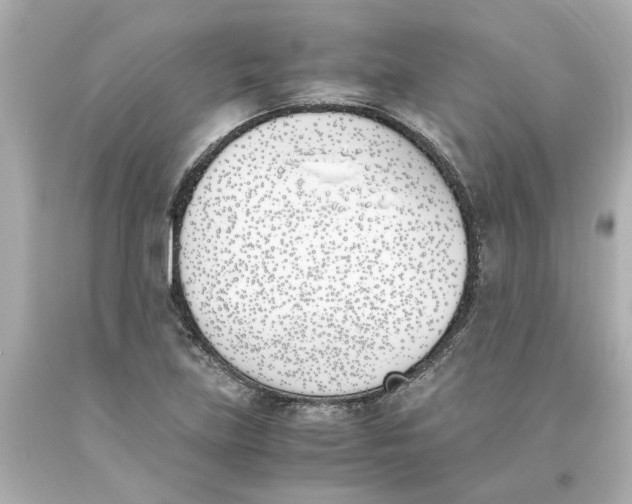 X0000093391219200711011303