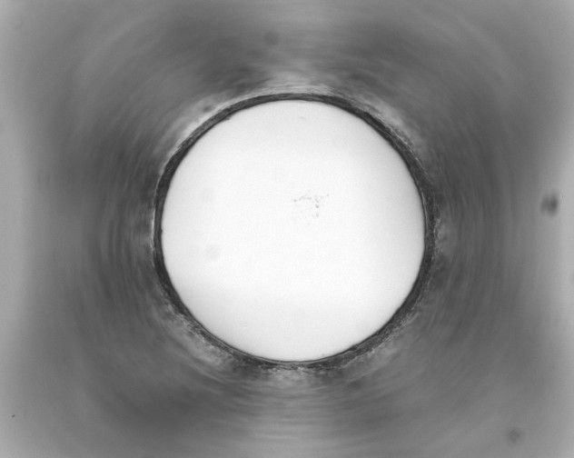 X0000093391220200711011303