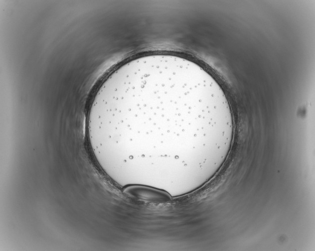 X0000093391221200711011304