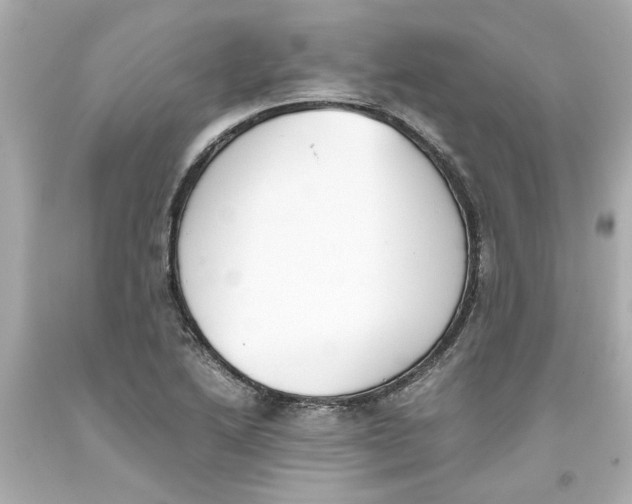 X0000093391222200711011304