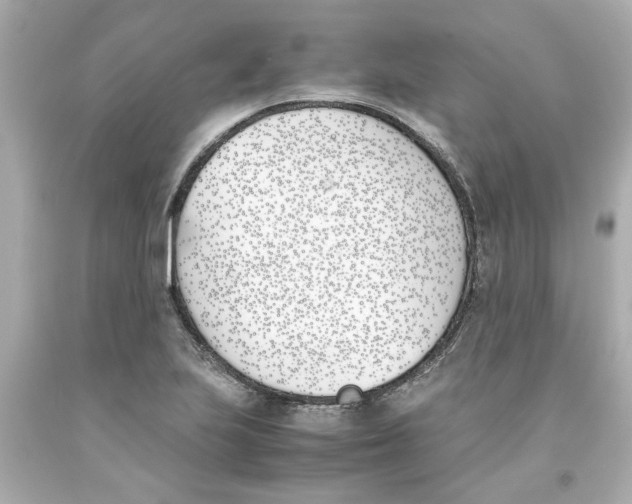 X0000093391223200711011304