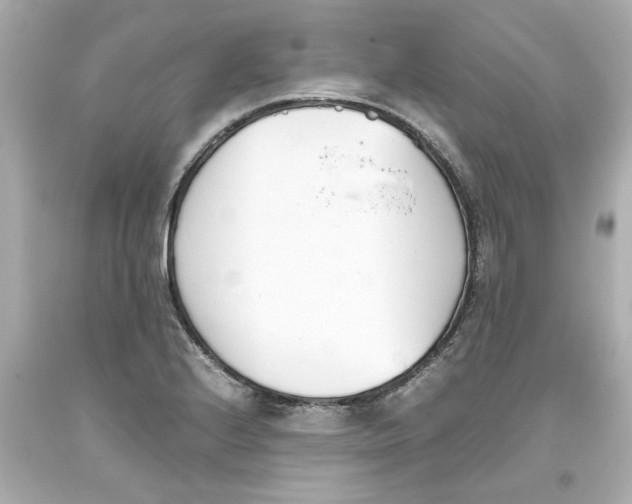 X0000093391224200711011304